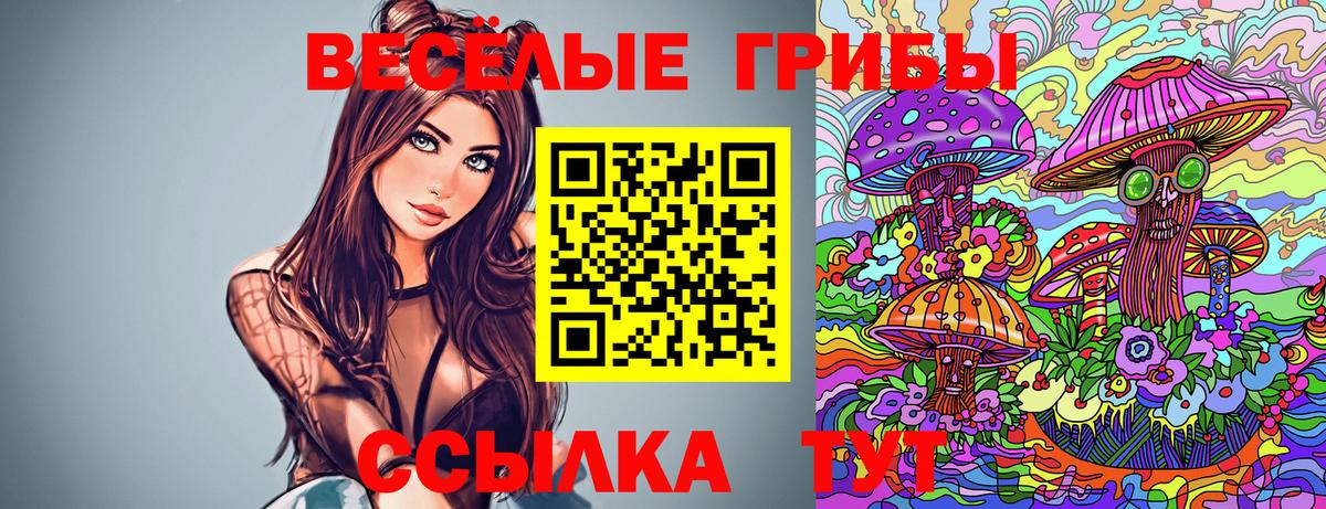 Семилуки  Псилоцибиновые грибы мухоморы  Вход с VPN  Псилоцибиновые грибы Psilocybe 